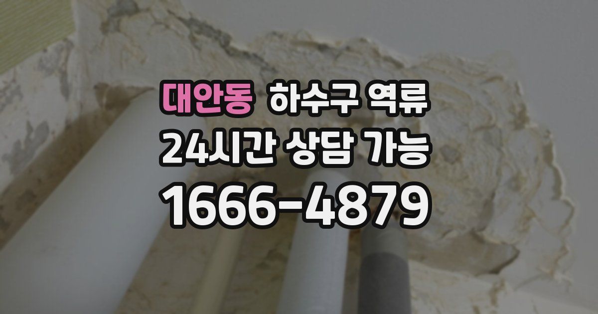 대안동 하수구 역류