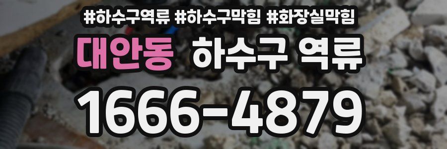 대안동 하수구 역류