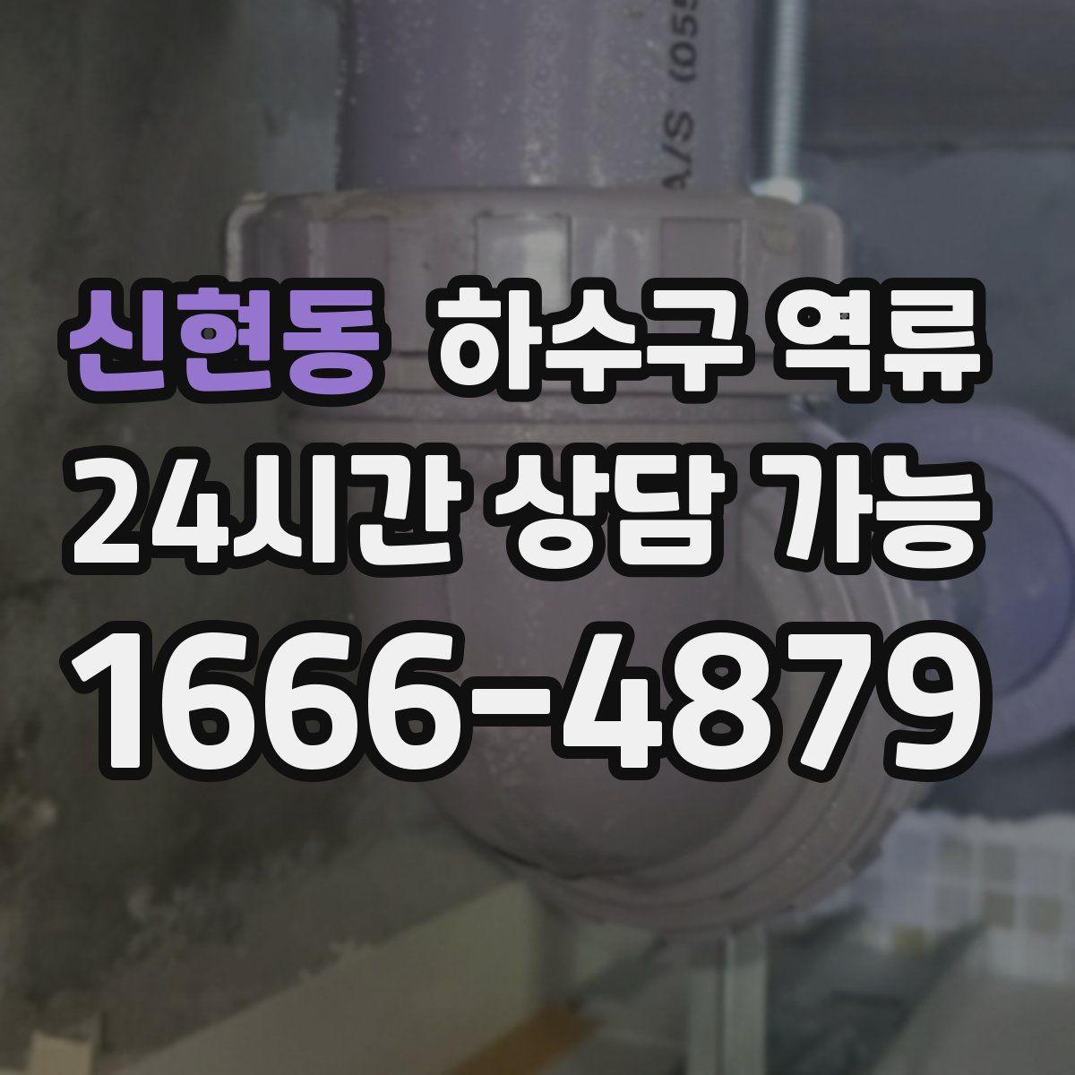 신현동 하수구 역류