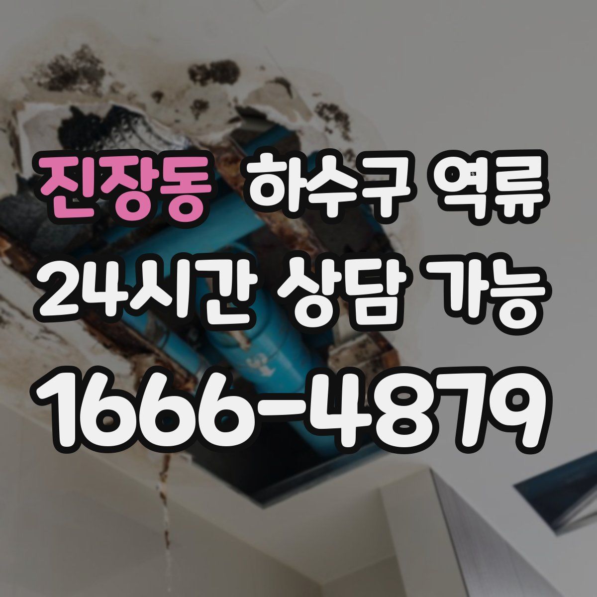 진장동 하수구 역류