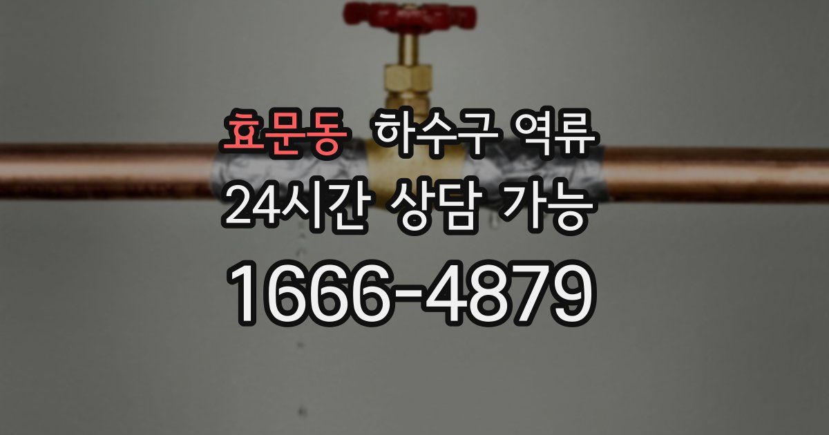 효문동 하수구 역류