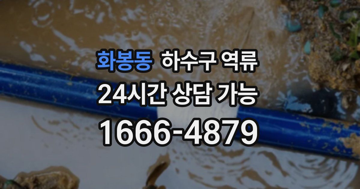 화봉동 하수구 역류