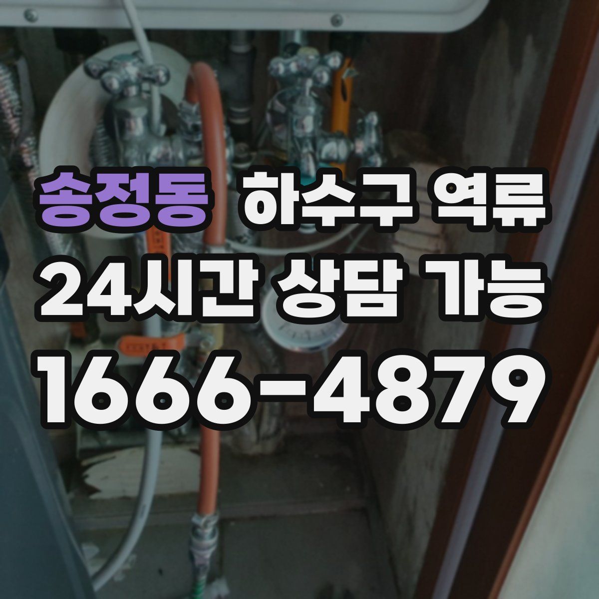 송정동 하수구 역류