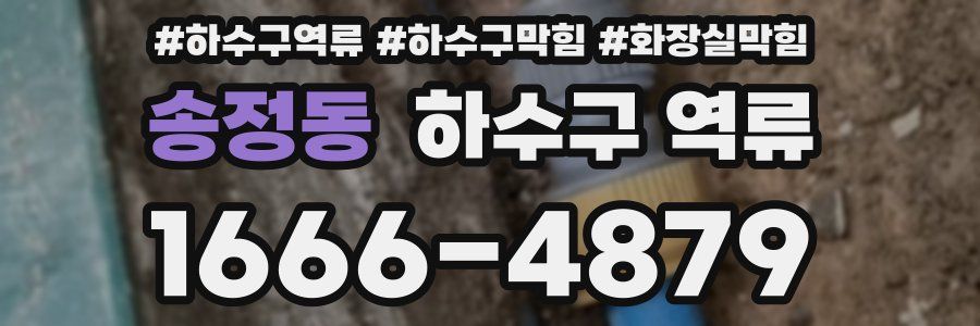 송정동 하수구 역류