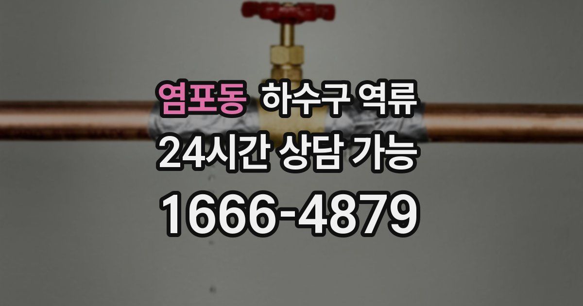 염포동 하수구 역류