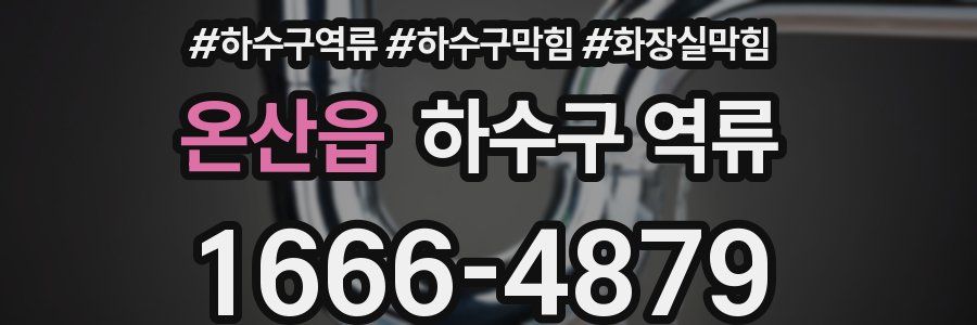 온산읍 하수구 역류