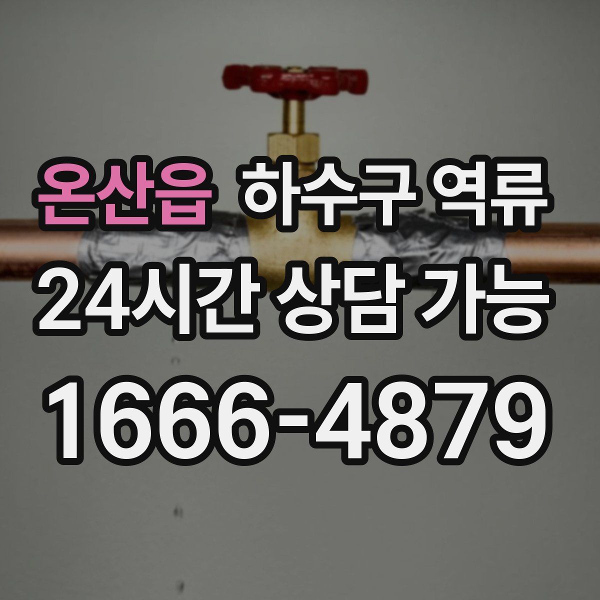 온산읍 하수구 역류