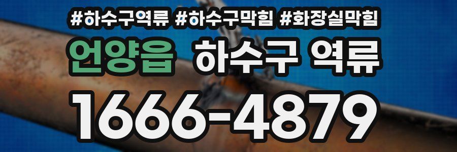 언양읍 하수구 역류