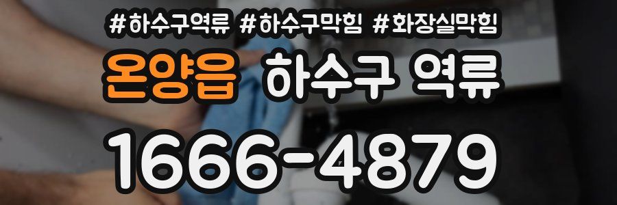 온양읍 하수구 역류