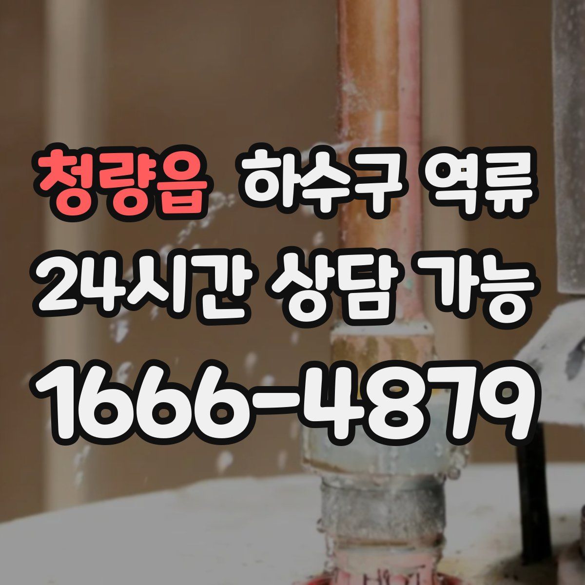 청량읍 하수구 역류