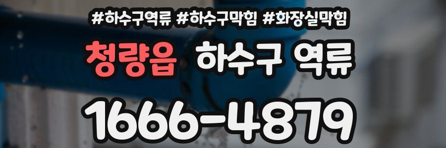 청량읍 하수구 역류