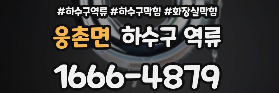 웅촌면 하수구 역류