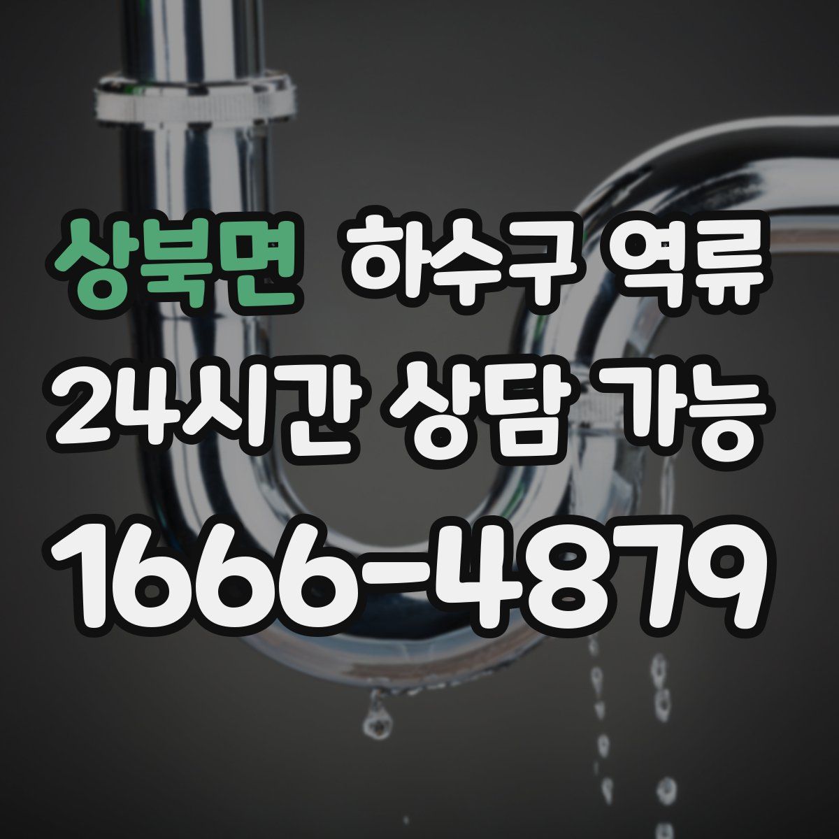 상북면 하수구 역류