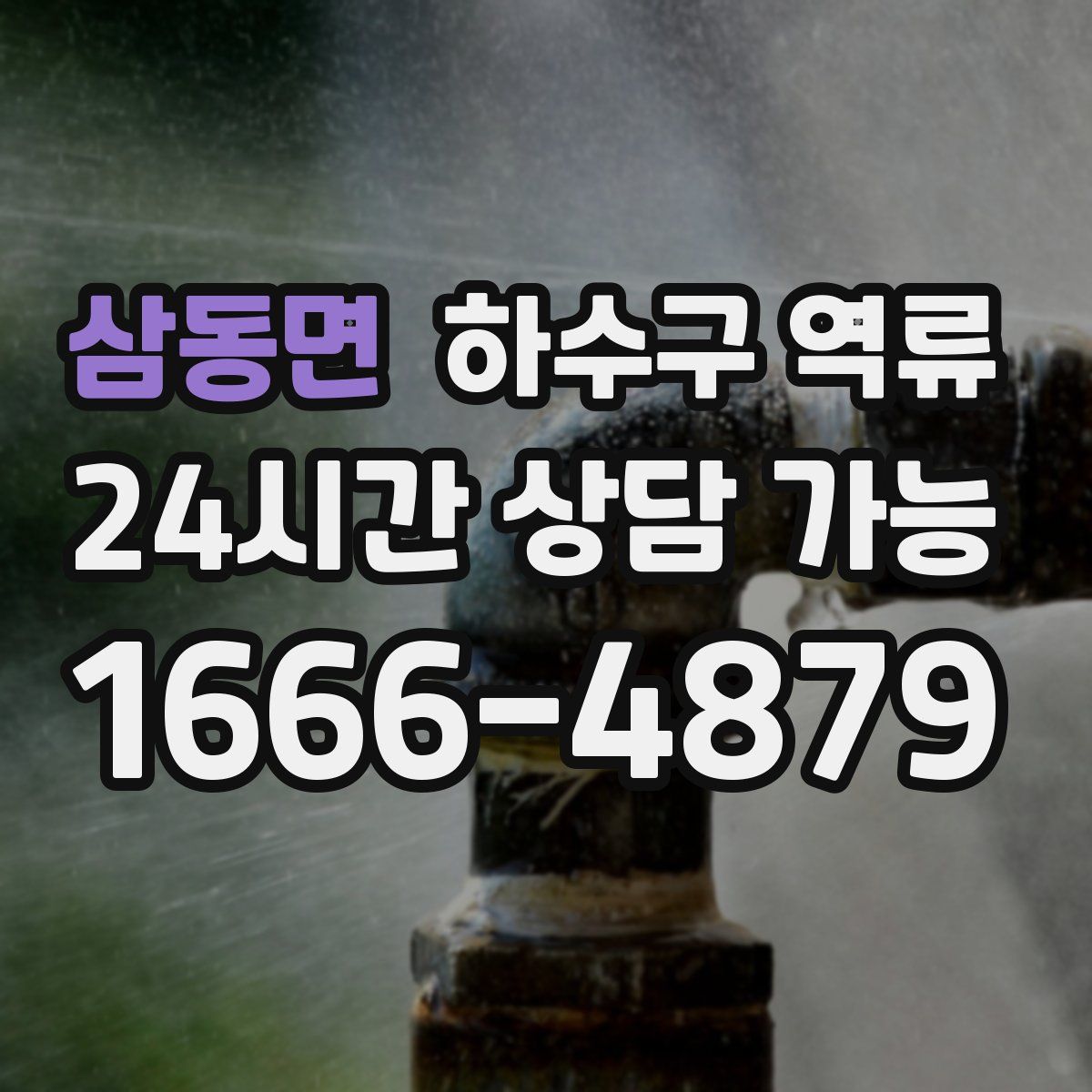 삼동면 하수구 역류