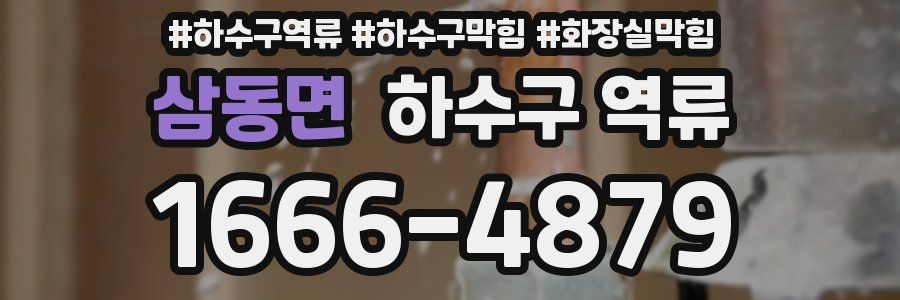 삼동면 하수구 역류