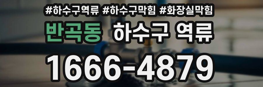 반곡동 하수구 역류