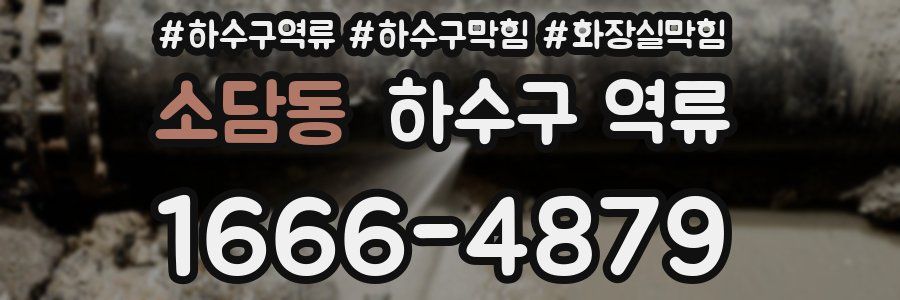 소담동 하수구 역류
