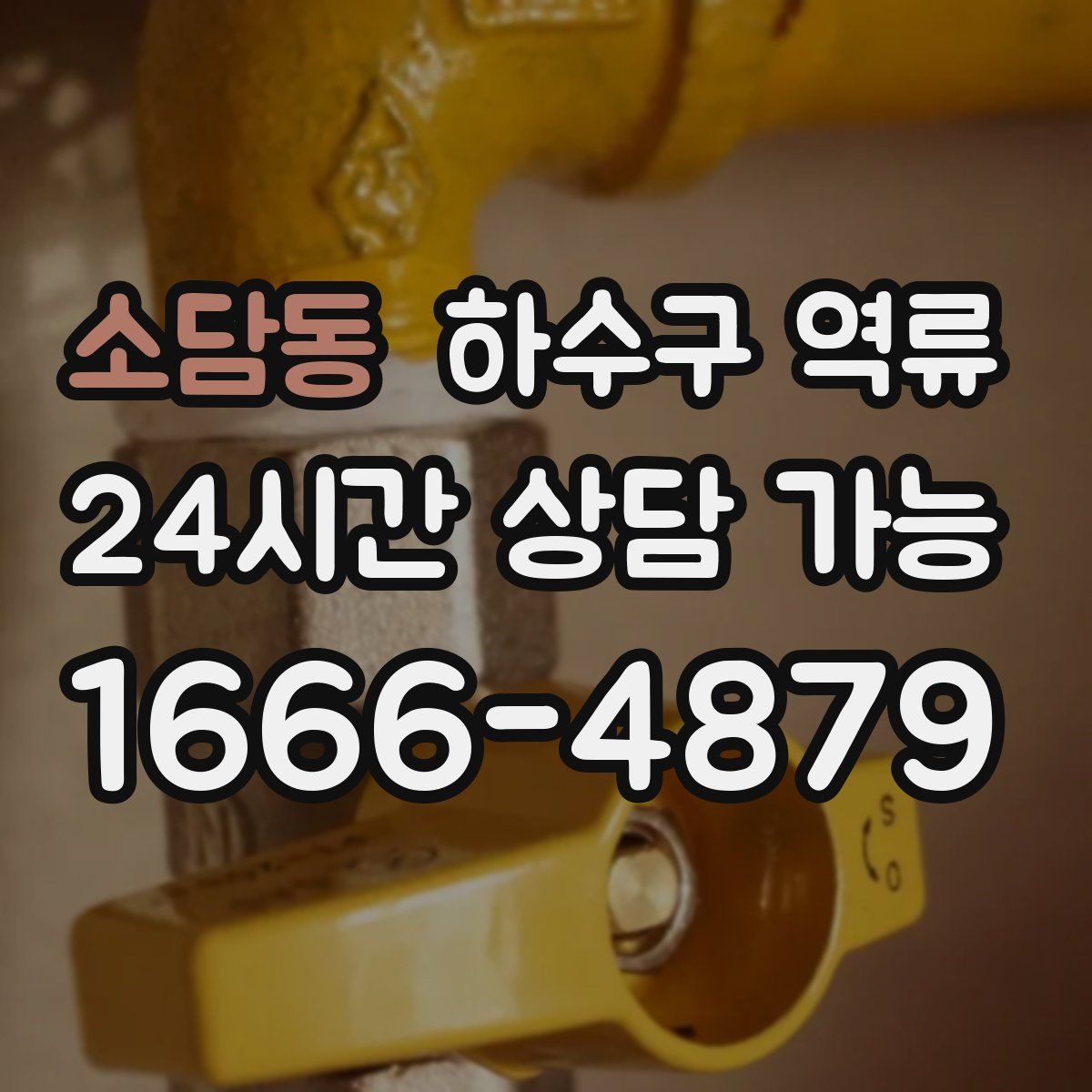 소담동 하수구 역류