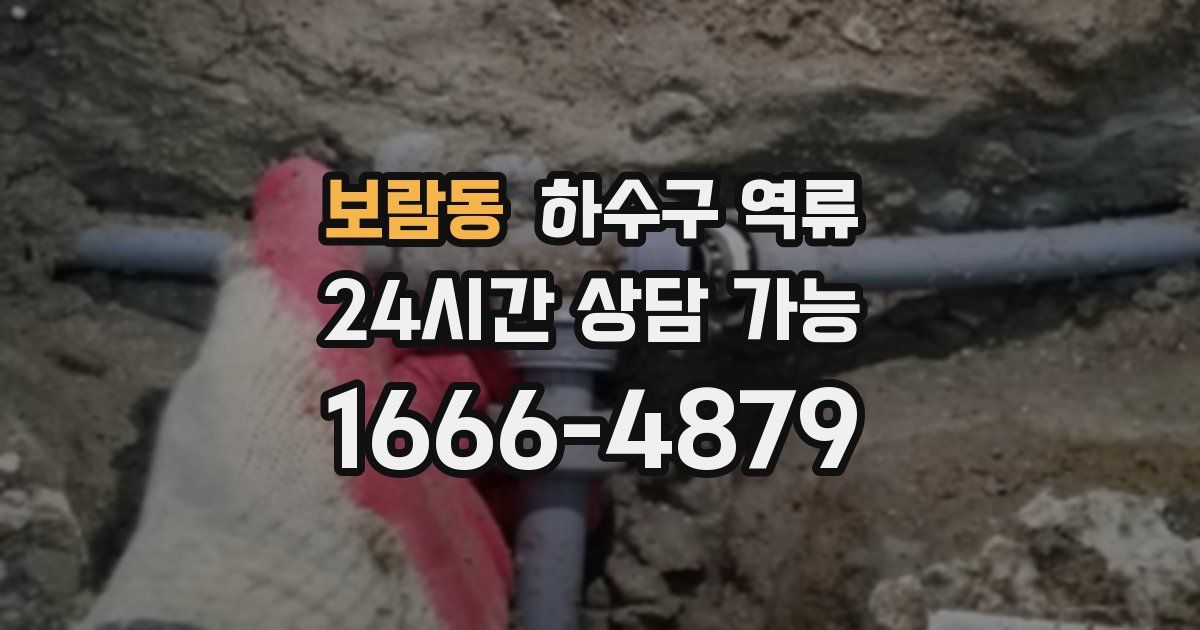 보람동 하수구 역류