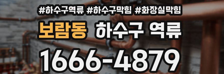 보람동 하수구 역류