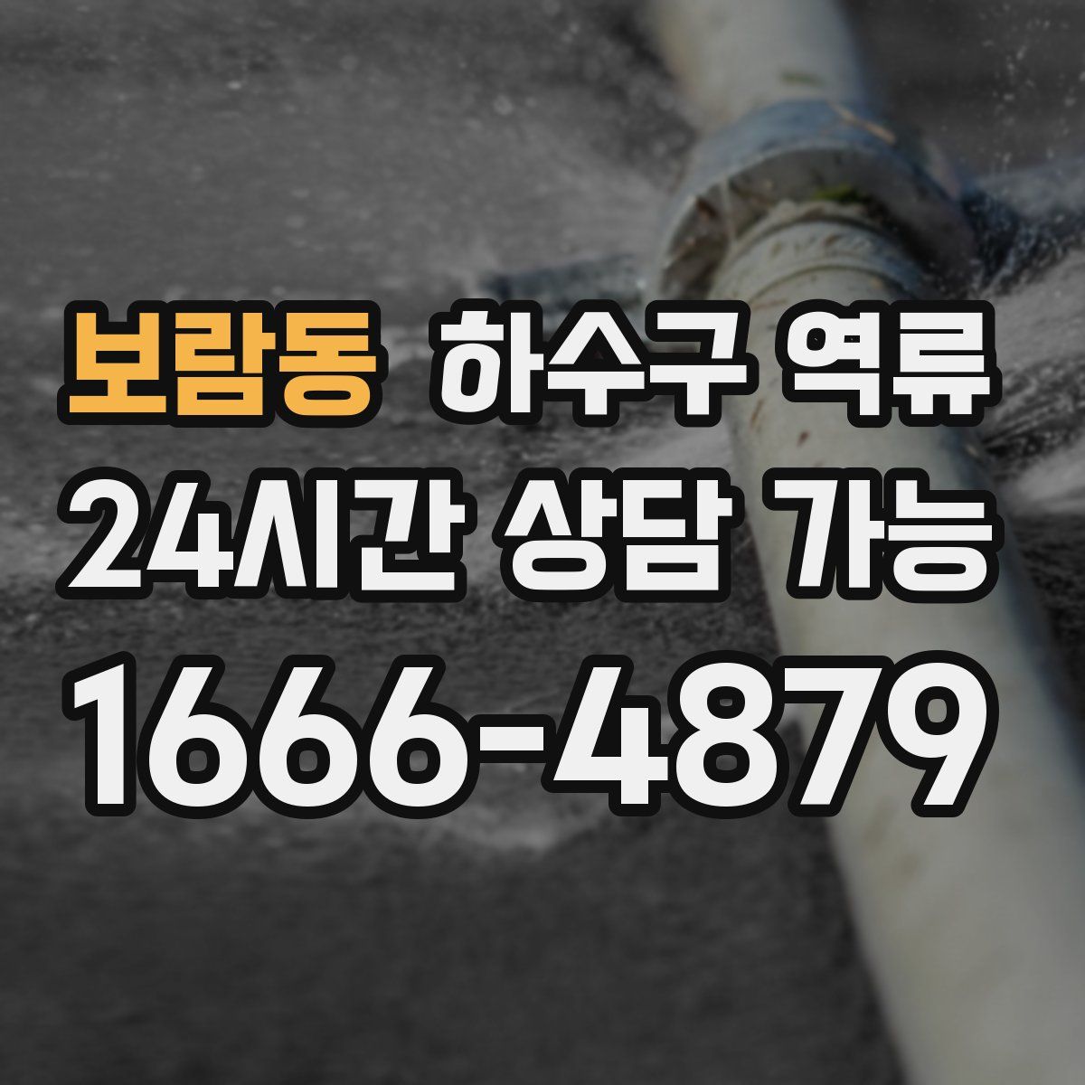 보람동 하수구 역류
