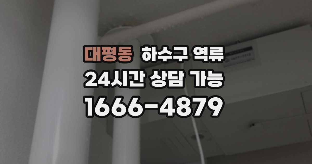 대평동 하수구 역류