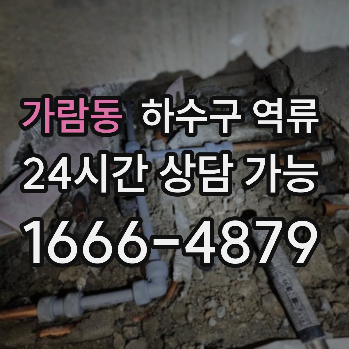 가람동 하수구 역류