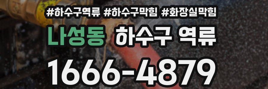 나성동 하수구 역류