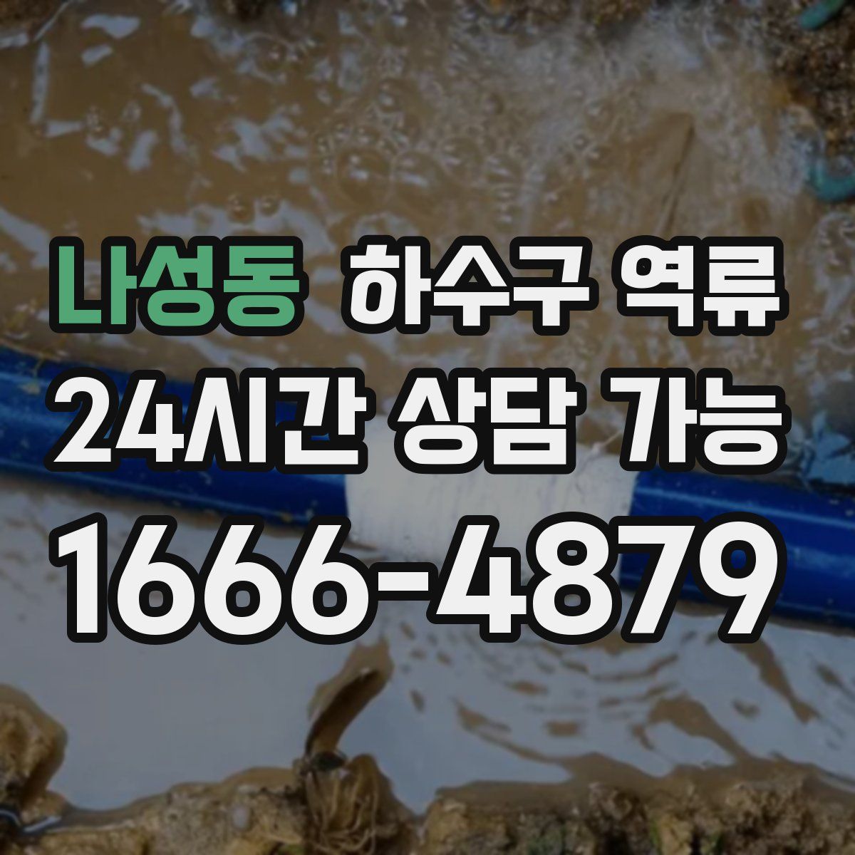 나성동 하수구 역류