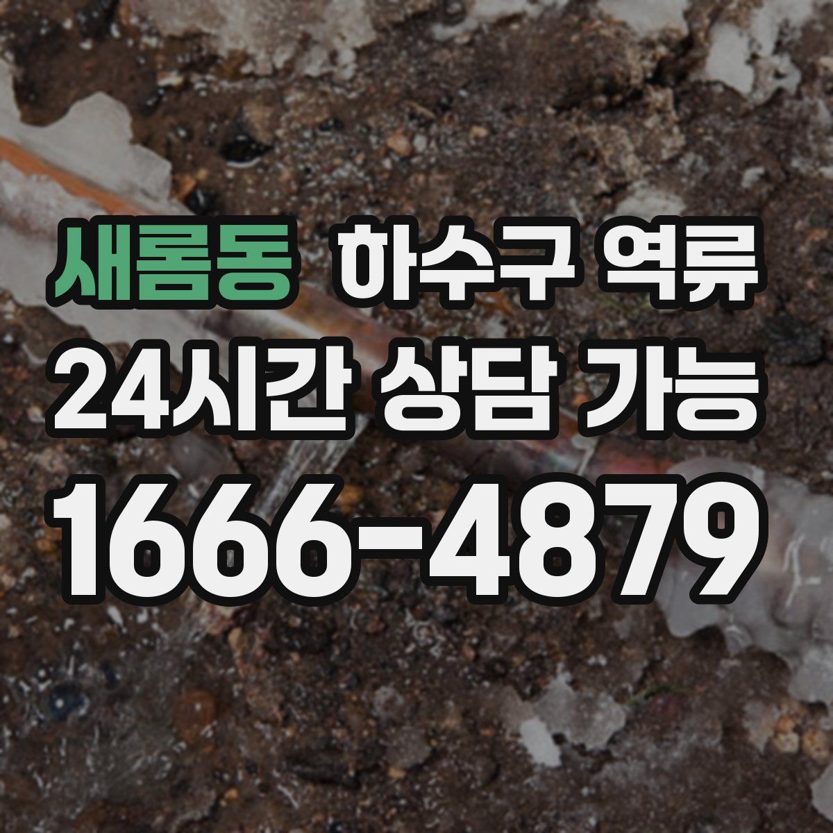 새롬동 하수구 역류