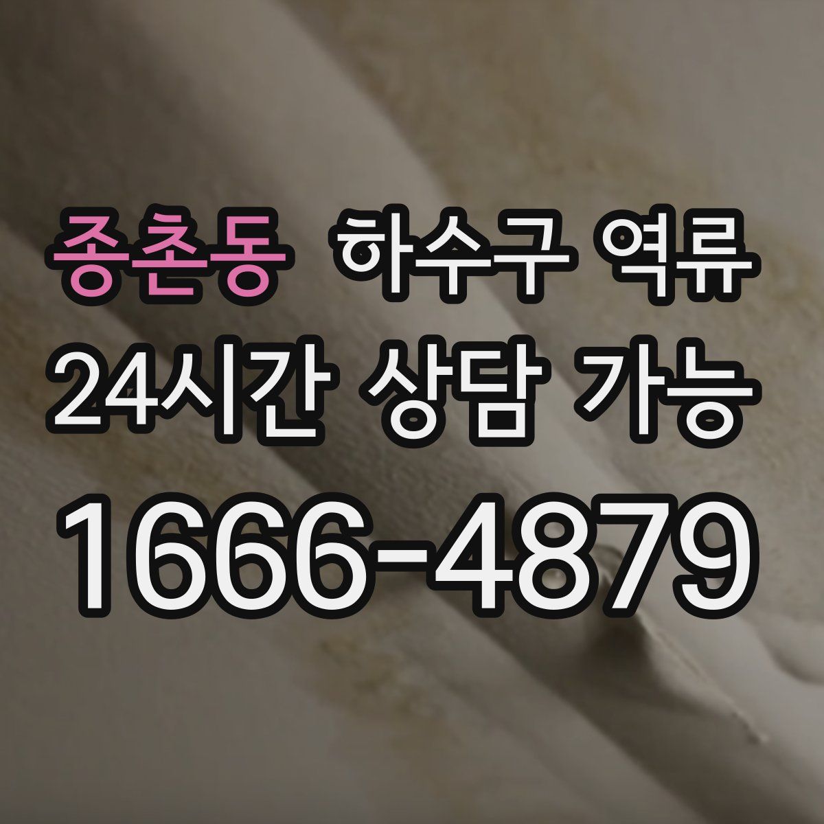 종촌동 하수구 역류