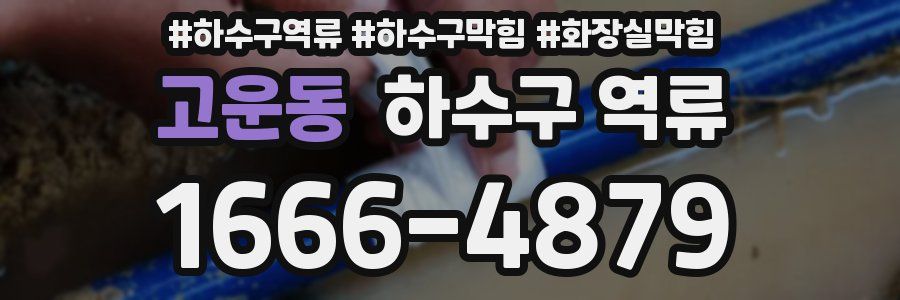 고운동 하수구 역류