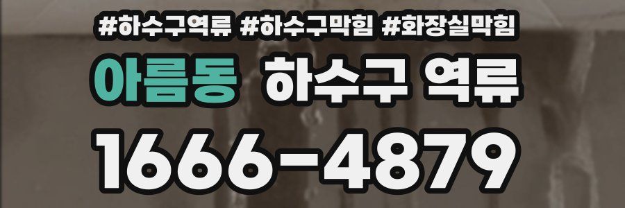 아름동 하수구 역류