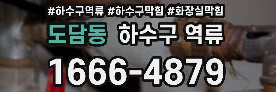 도담동 하수구 역류