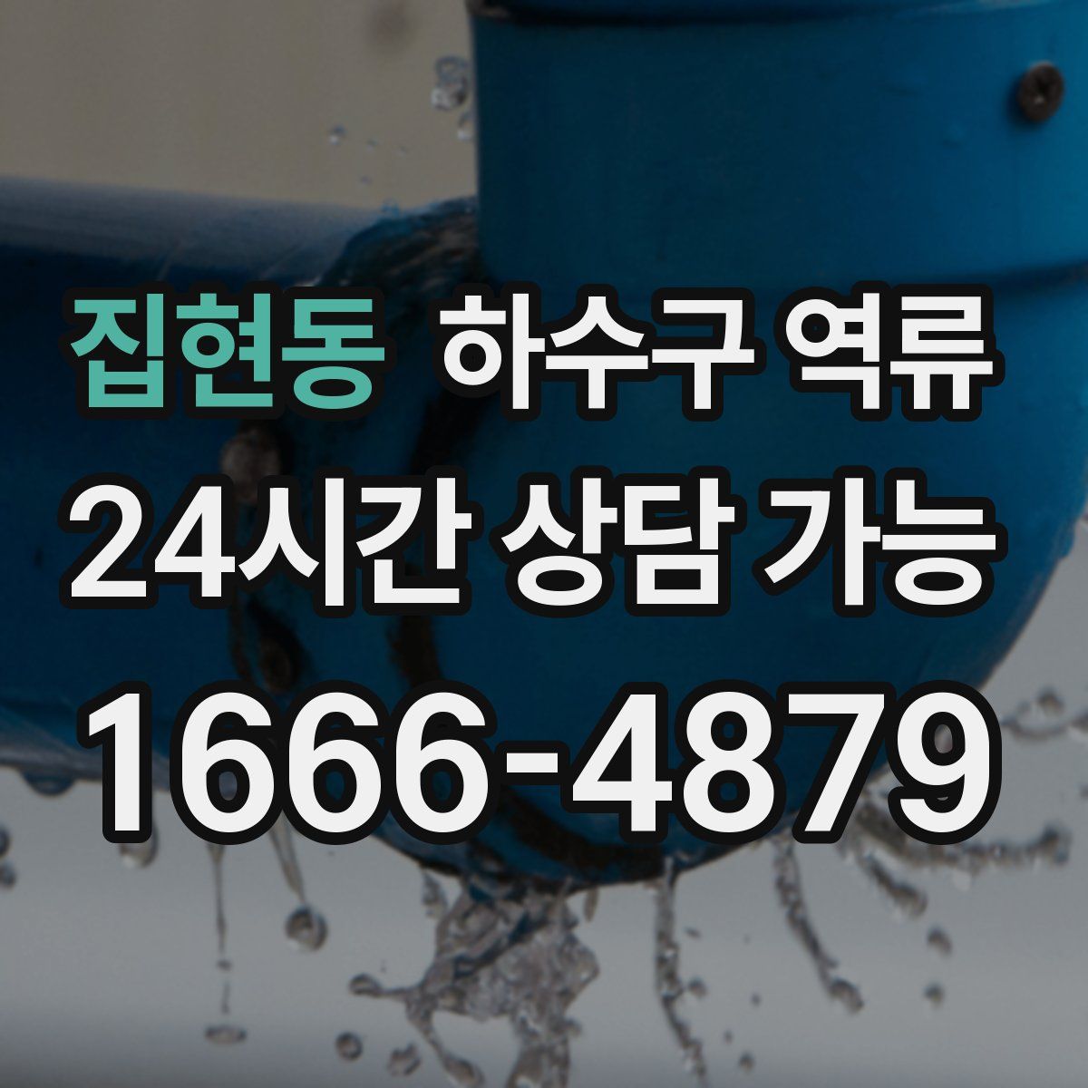 집현동 하수구 역류