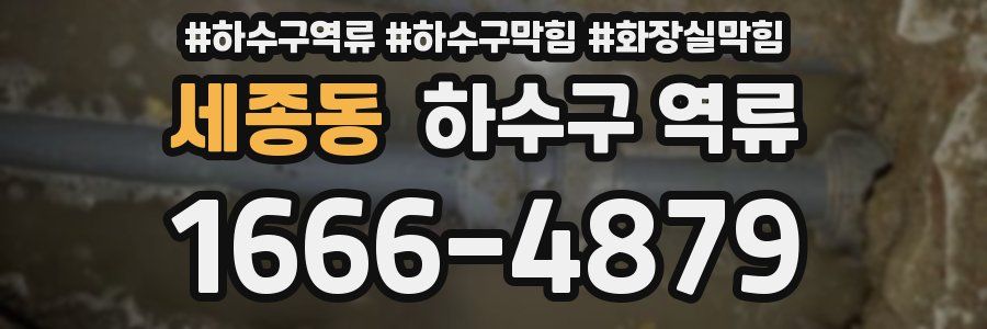 세종동 하수구 역류