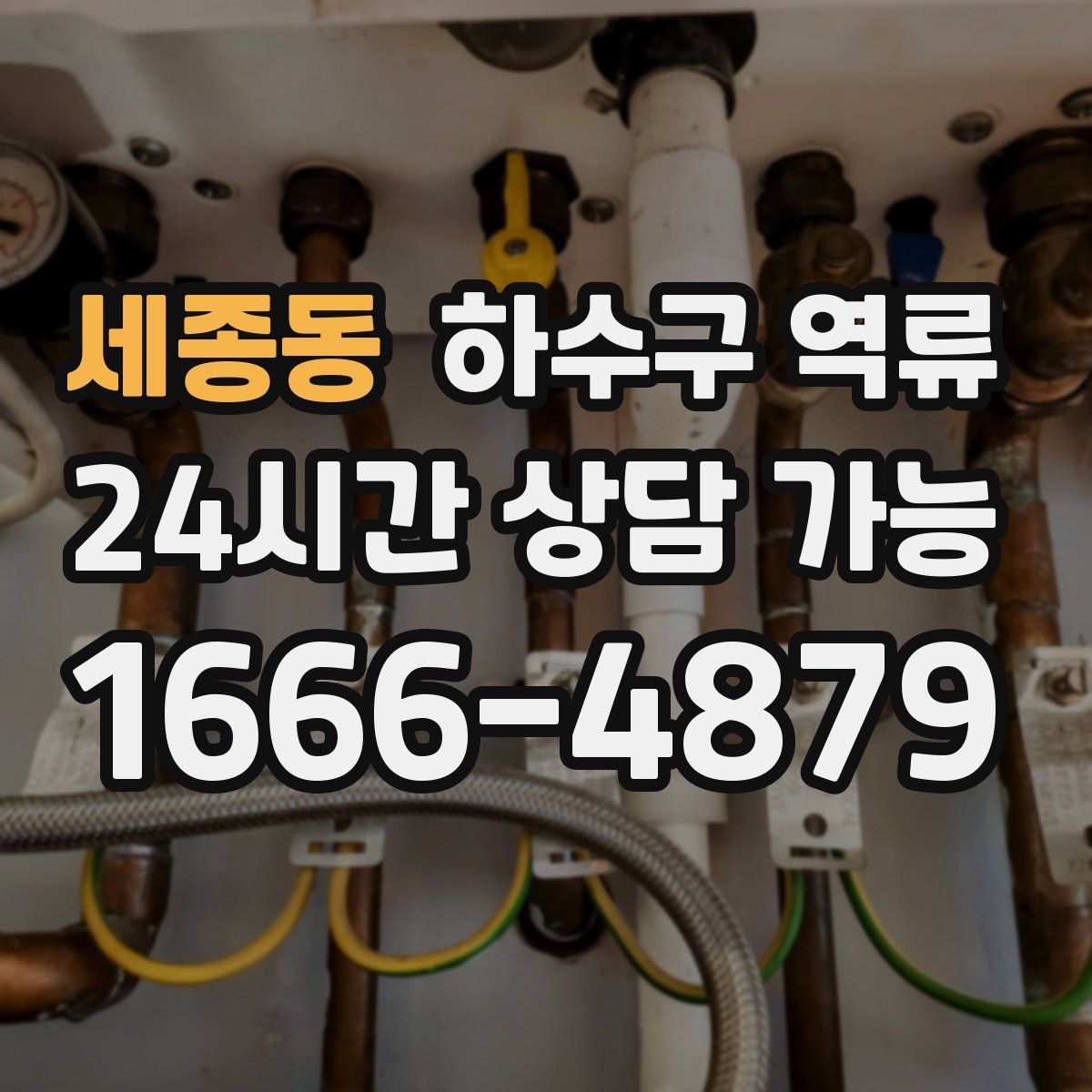 세종동 하수구 역류