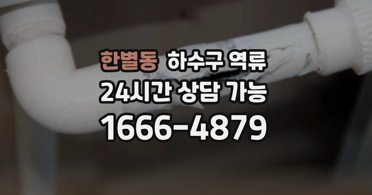 한별동 하수구 역류