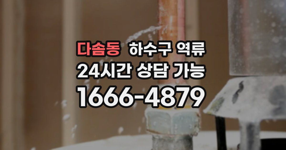 다솜동 하수구 역류