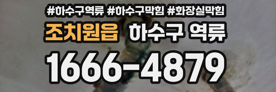 조치원읍 하수구 역류