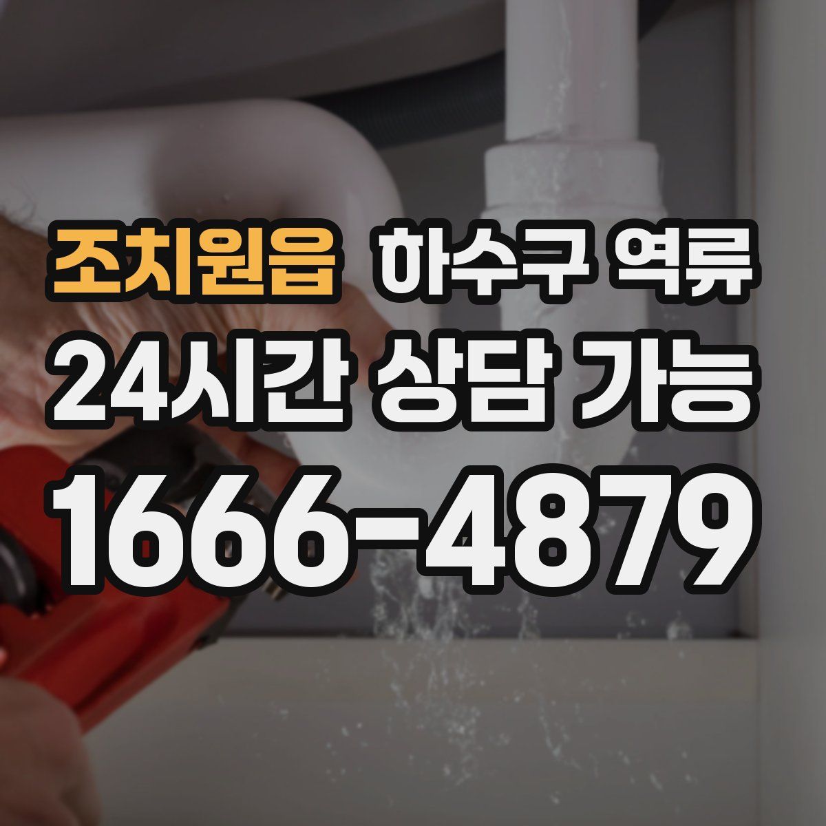 조치원읍 하수구 역류