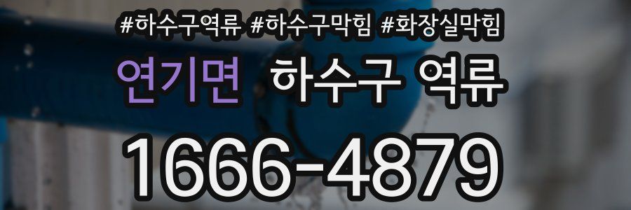 연기면 하수구 역류