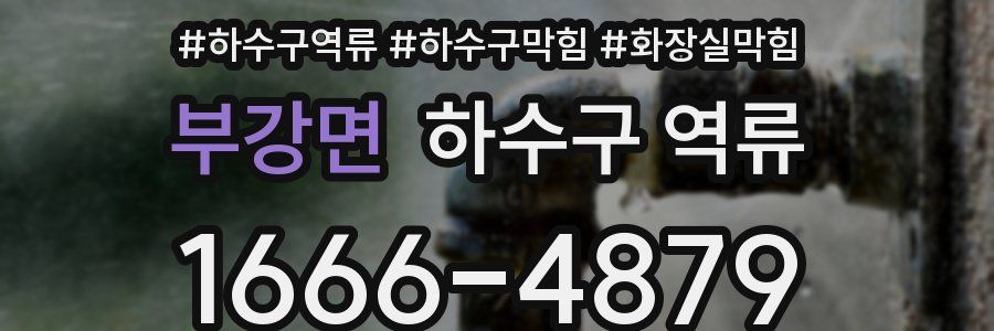 부강면 하수구 역류