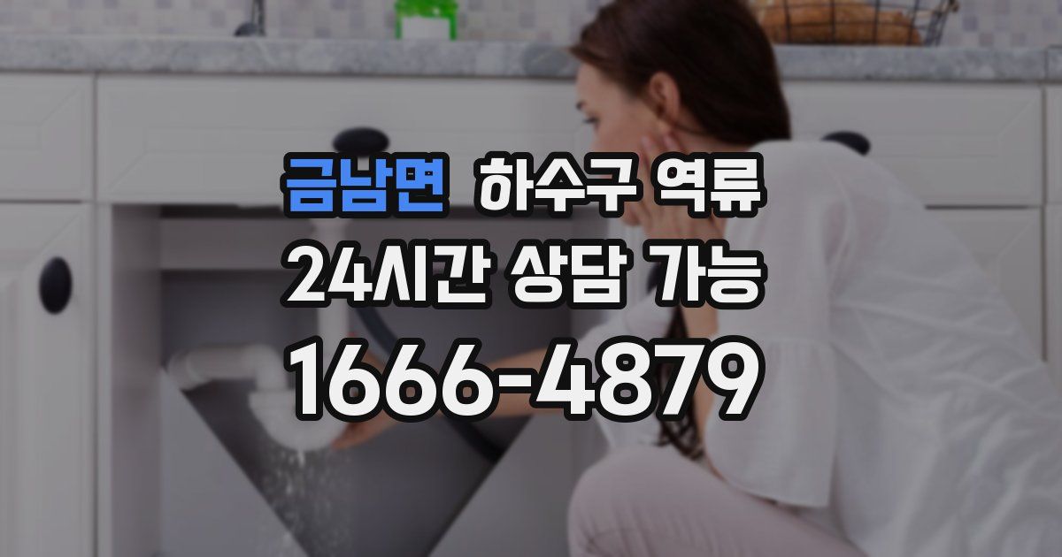 금남면 하수구 역류