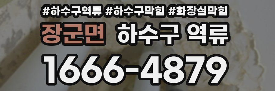 장군면 하수구 역류