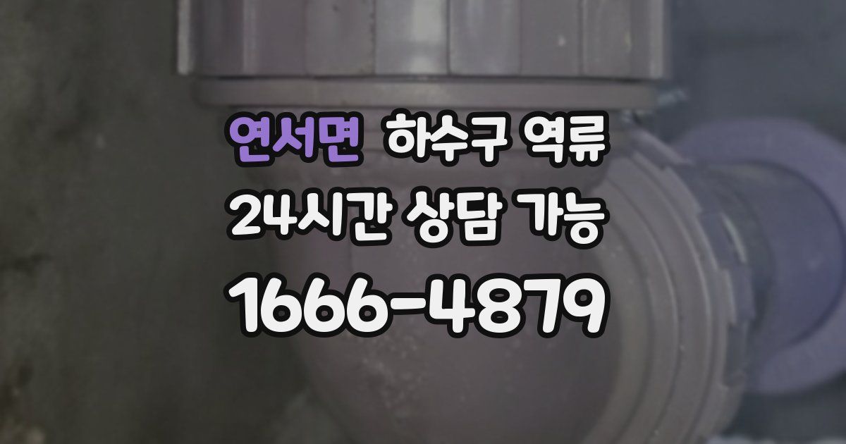 연서면 하수구 역류