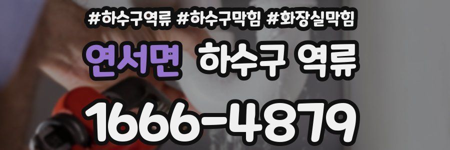 연서면 하수구 역류