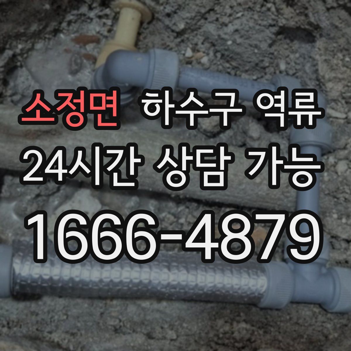 소정면 하수구 역류