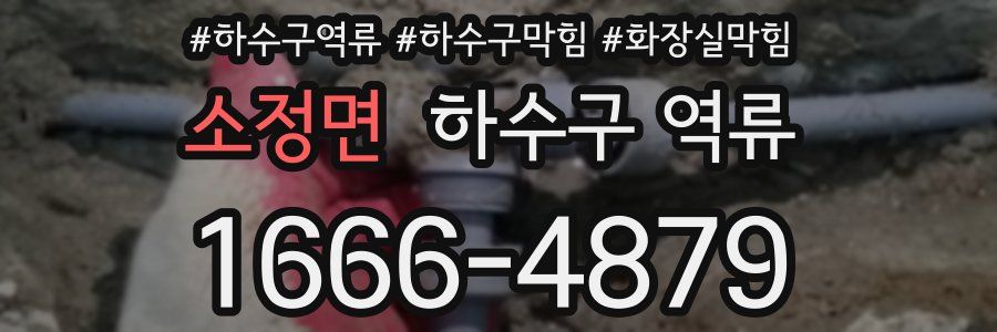 소정면 하수구 역류
