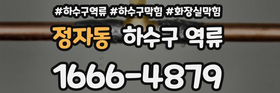 정자동 하수구 역류